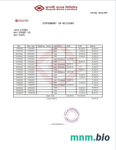 India Rupali Limited wzór wyciągu bankowego, Word and PDF format